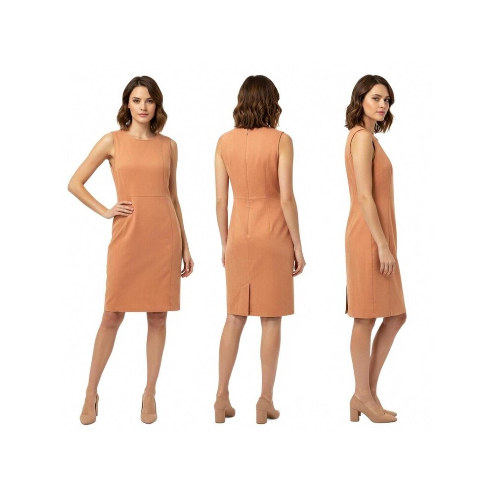 Nina LeonardSleeveless Sheath Dress Fitted.